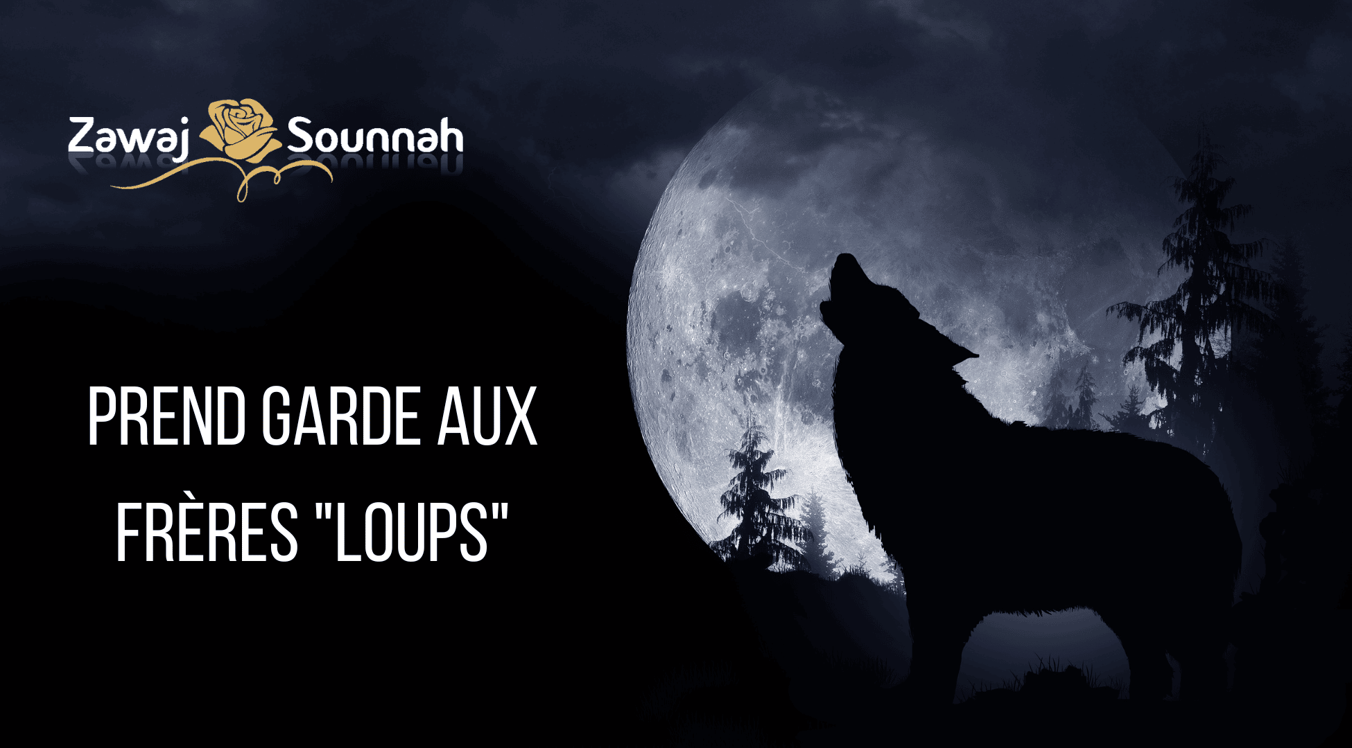 You are currently viewing Les frères “loups” : ces prédateurs qui s’attaquent aux sœurs !