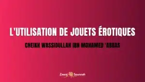 Lire la suite à propos de l’article L’utilisation de jouets érotiques