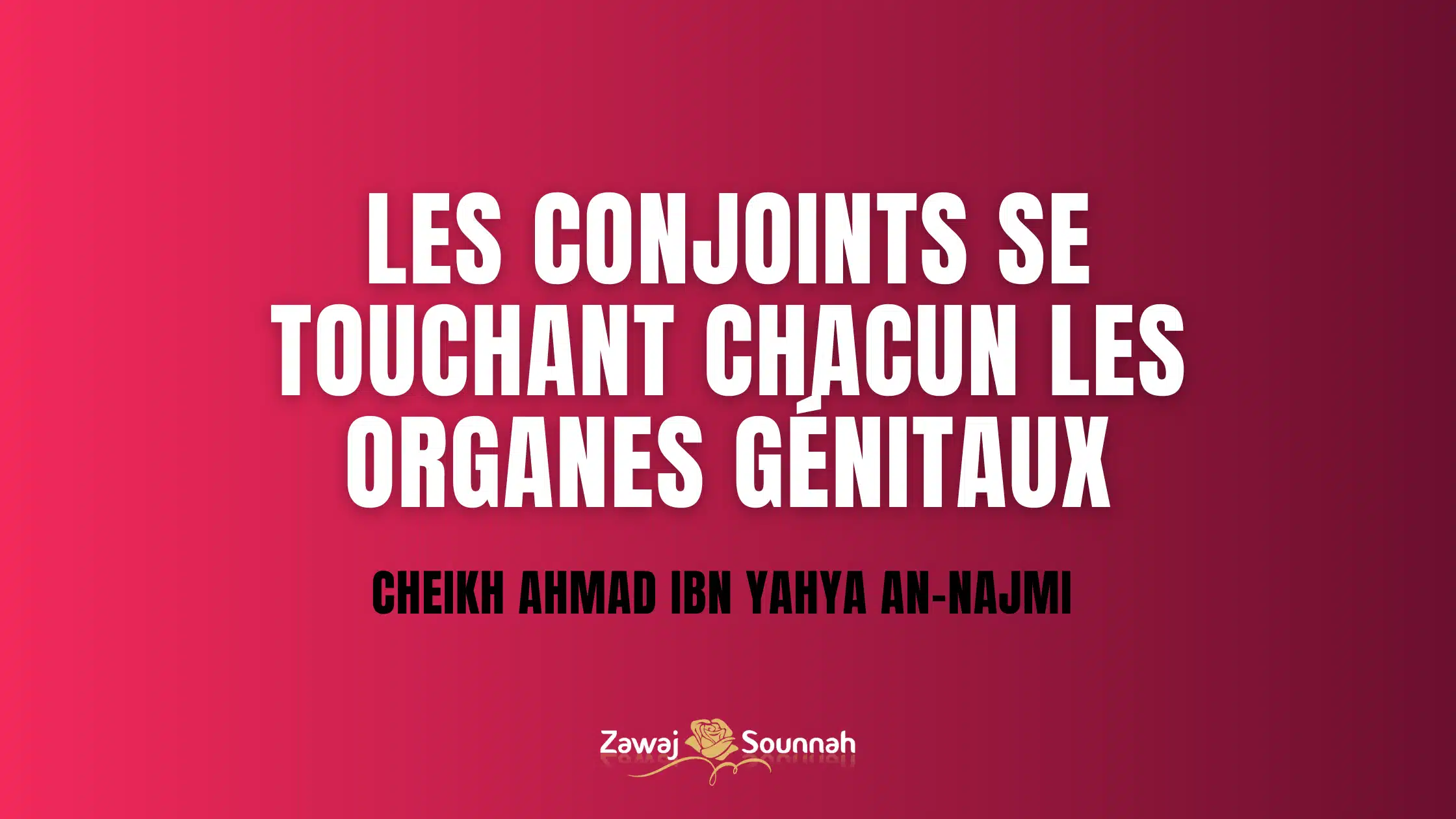 Zawaj Sounnah organes génitaux époux